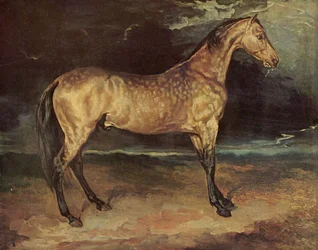 Cheval dans l
